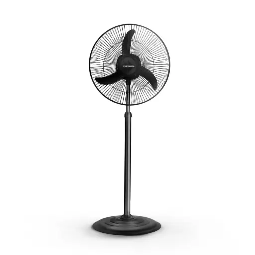 stand Fan